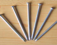 護(hù)欄網(wǎng),市政護(hù)欄網(wǎng),欄網(wǎng)廠家 護(hù)欄網(wǎng),市政護(hù)欄網(wǎng),欄網(wǎng)廠家