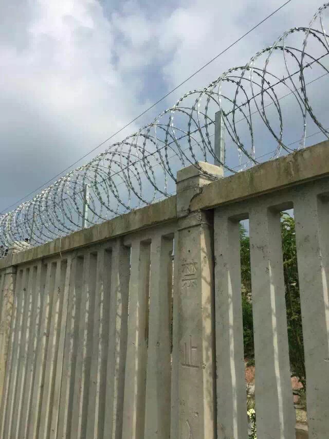 1567586102498745.jpg 護(hù)欄網(wǎng),市政護(hù)欄網(wǎng),欄網(wǎng)廠家