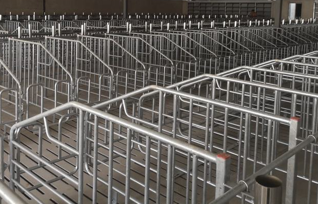 豬圍欄網(wǎng) 豬圍欄網(wǎng)