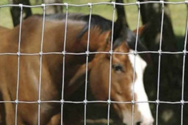 廠家養殖護欄網